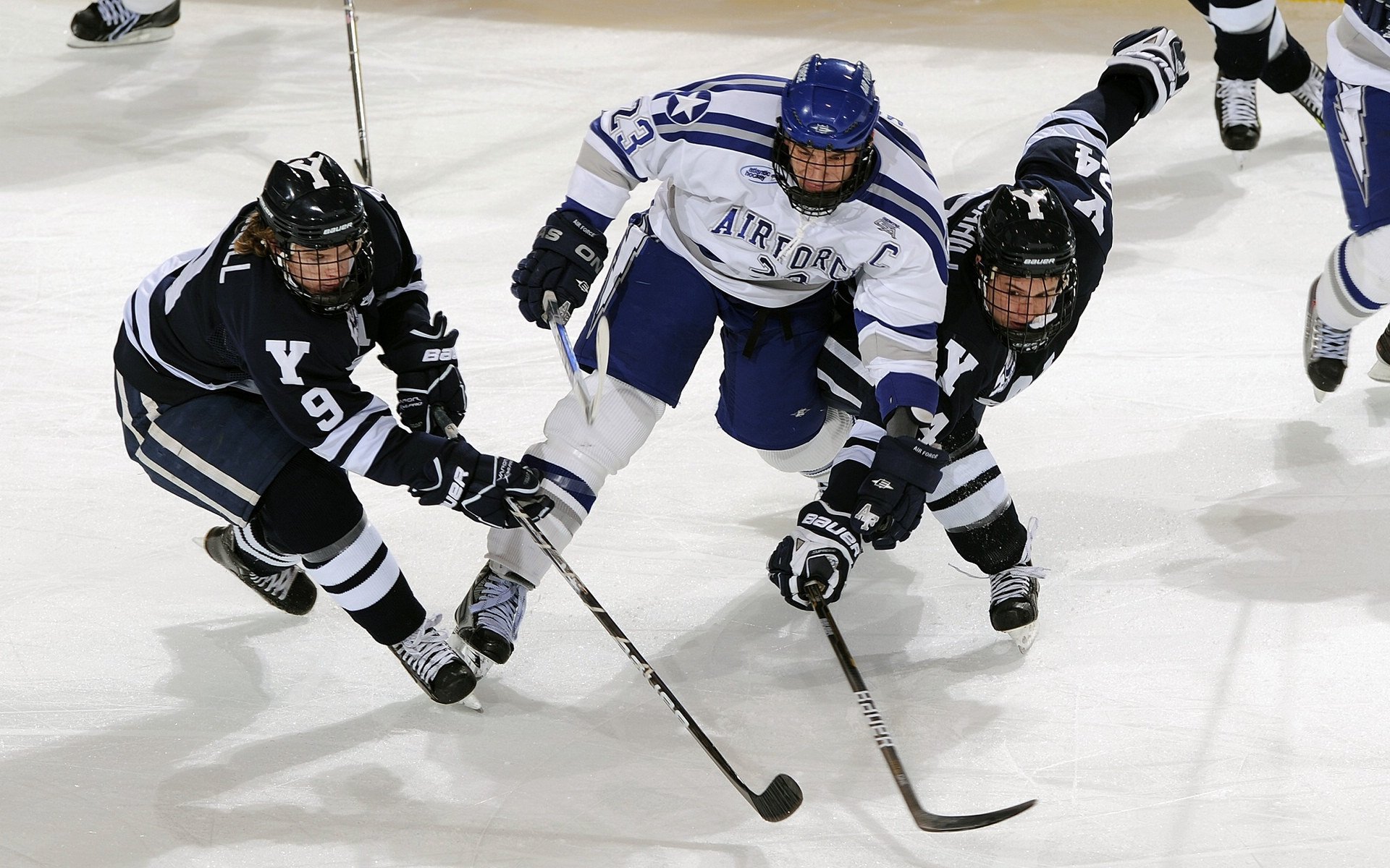 一个不抢断的盖帽手,如何用医学防守统治焦点战?