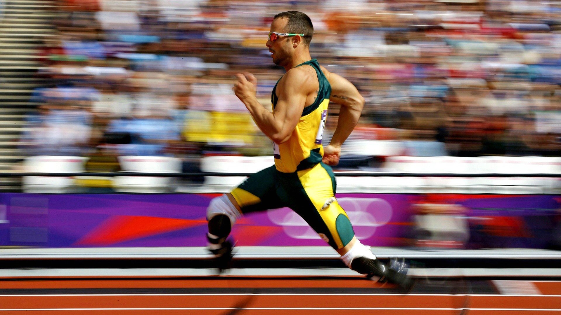 开云体育下载-最后一舞，莱万统治美加墨之夜